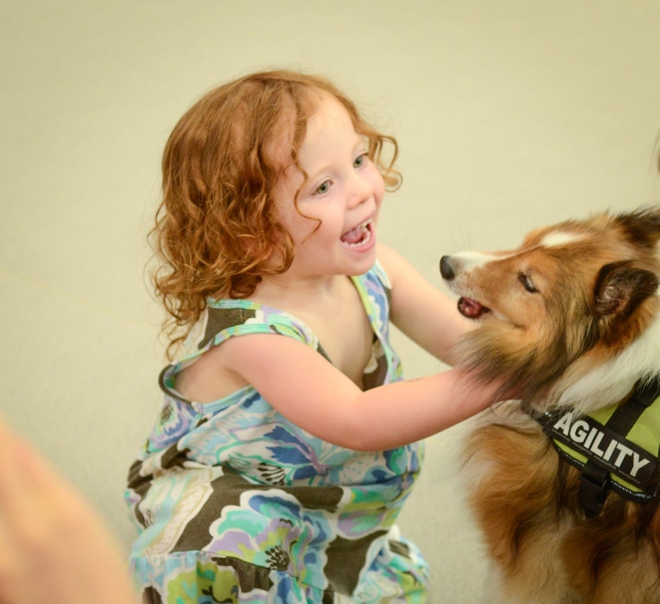 Diversas razas de perros medianos son perfectas para compartir con los niños, como este collie.