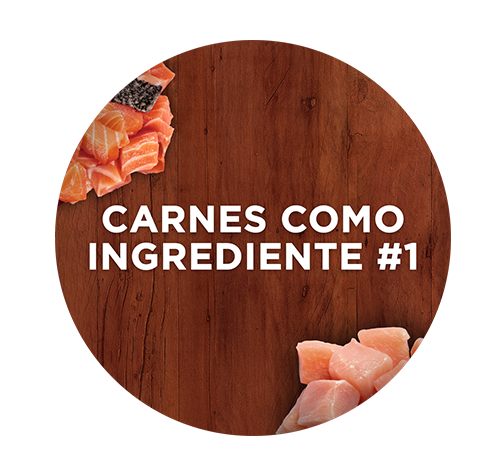 Carnes como ingredientes