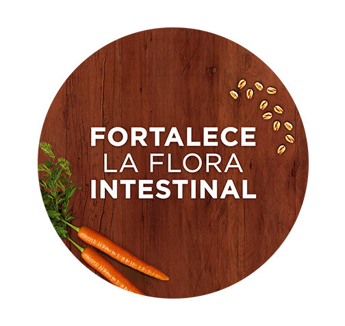 Fortalece la flora intestinal