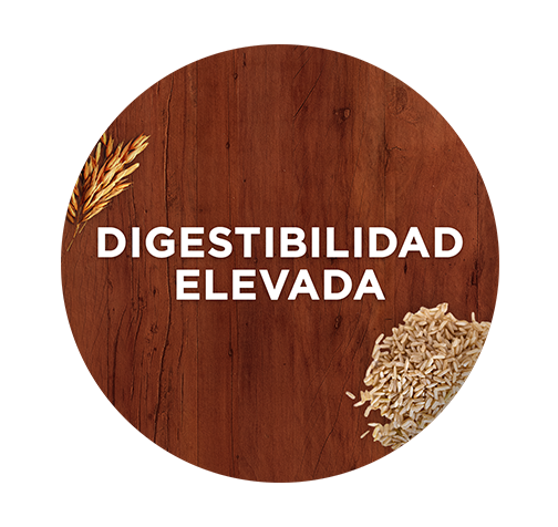 Digestibilidad elevada