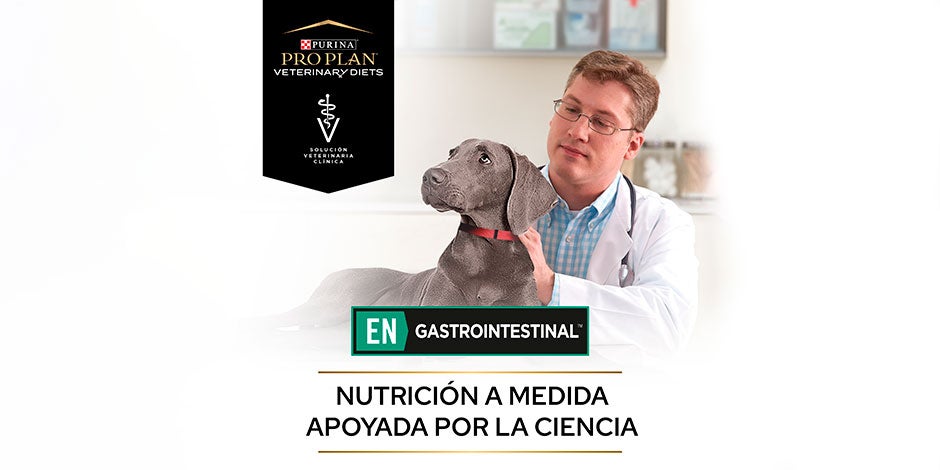 Las croquetas PRO PLAN® son buenas para los perros. Incluso hay fórmulas veterinarias, como la gastrointestinal.