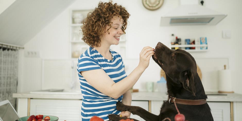 Tutora en la cocina dando alimento a su perro. ¿Los perros pueden comer zanahoria?