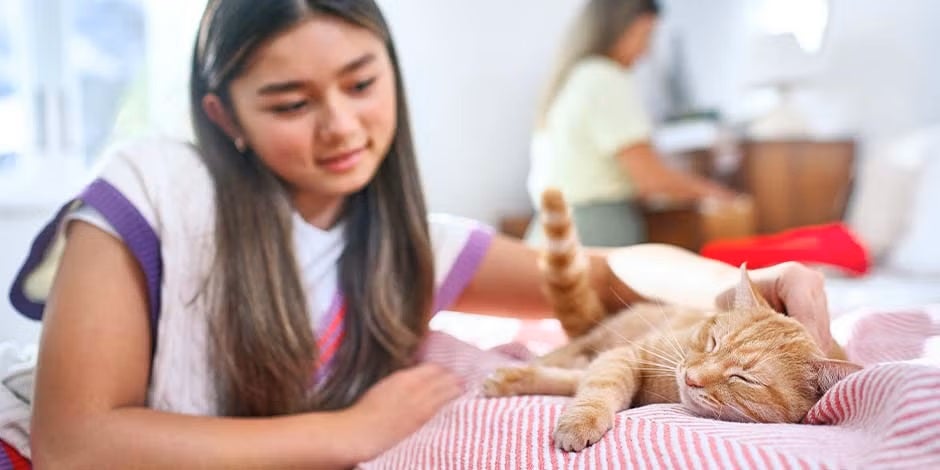 Comida húmeda para gatos – Tutora y michi Consiente a tu michi con mimos y con comida húmeda para gatos. Michi acostado junto a su tutora.