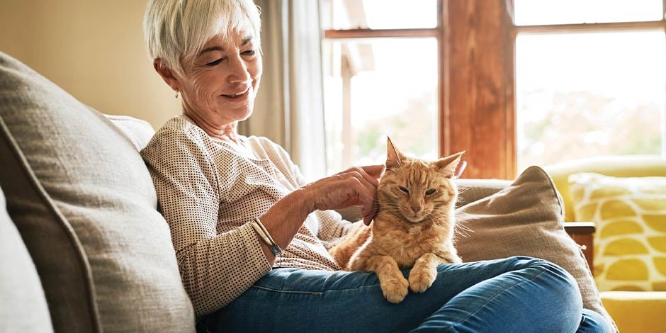 Comida para gatos con problemas renales - Senior Michi senior sobre el regazo de su tutor. Conoce la importancia de la comida para gatos con problemas renales.