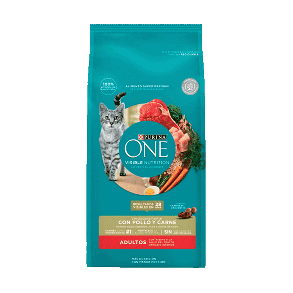 Adultos Pollo Carne Purina ONE