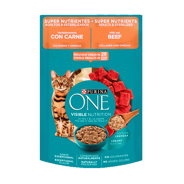 Gatos Carne Purina ONE