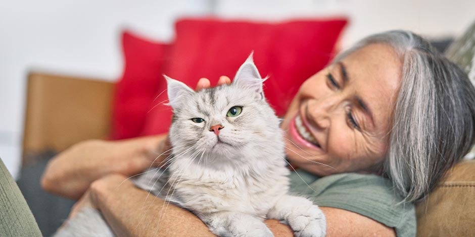 Datos curiosos de los gatos - Edad La edad felina y su equivalencia en años humanos es uno de los datos curiosos de los gatos. Michi con tutora.