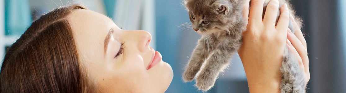 Mujer sosteniendo un gatito gris. Gatos en adopción.