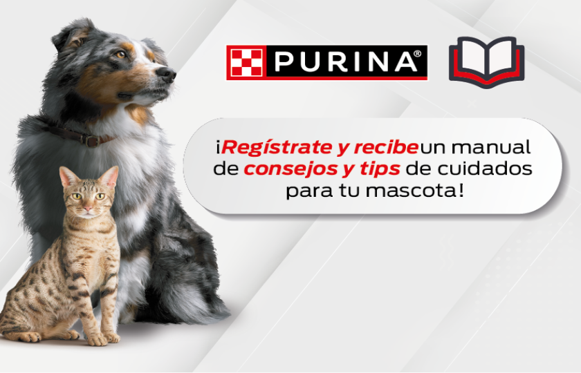 Título Imagen