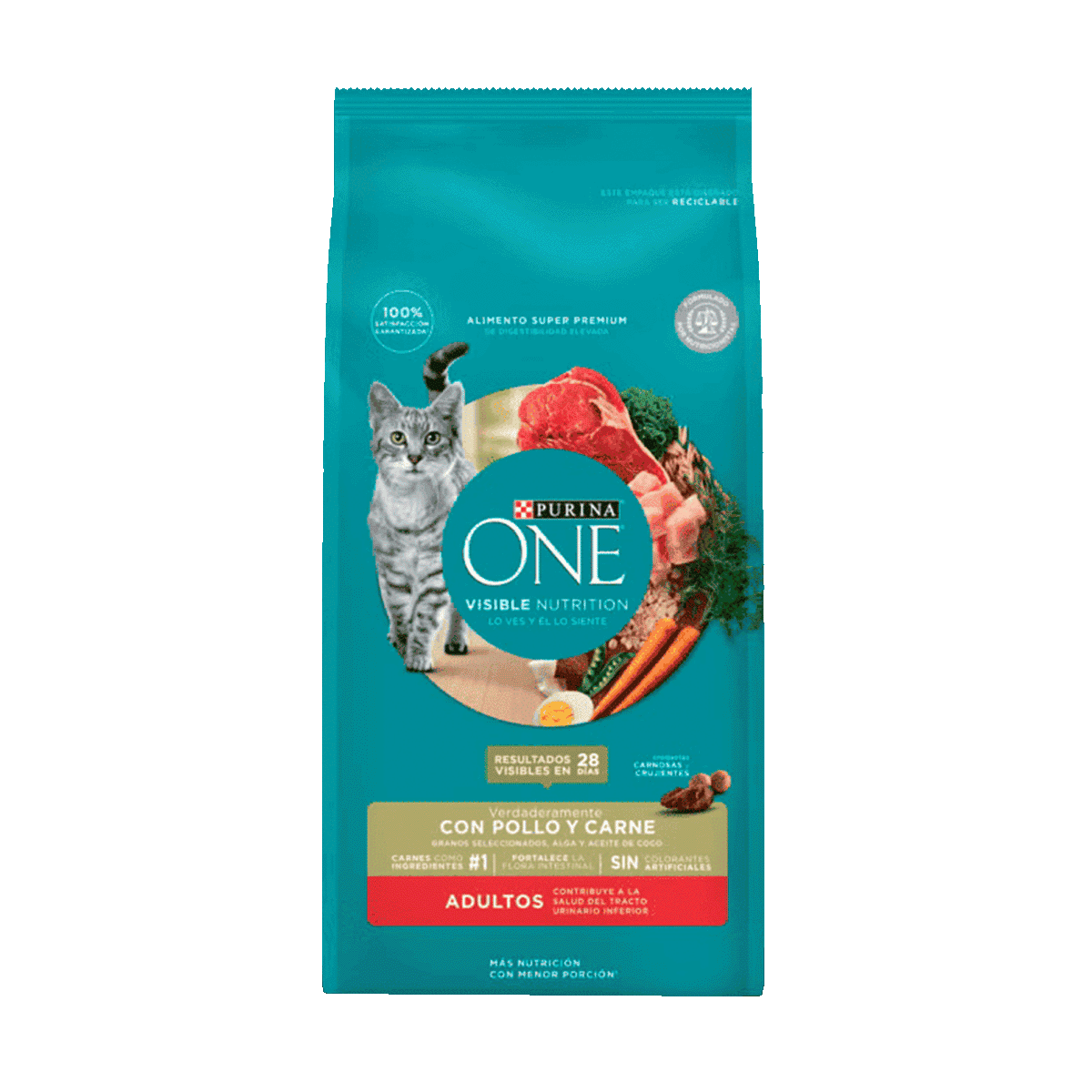 Adultos Pollo Carne Purina ONE