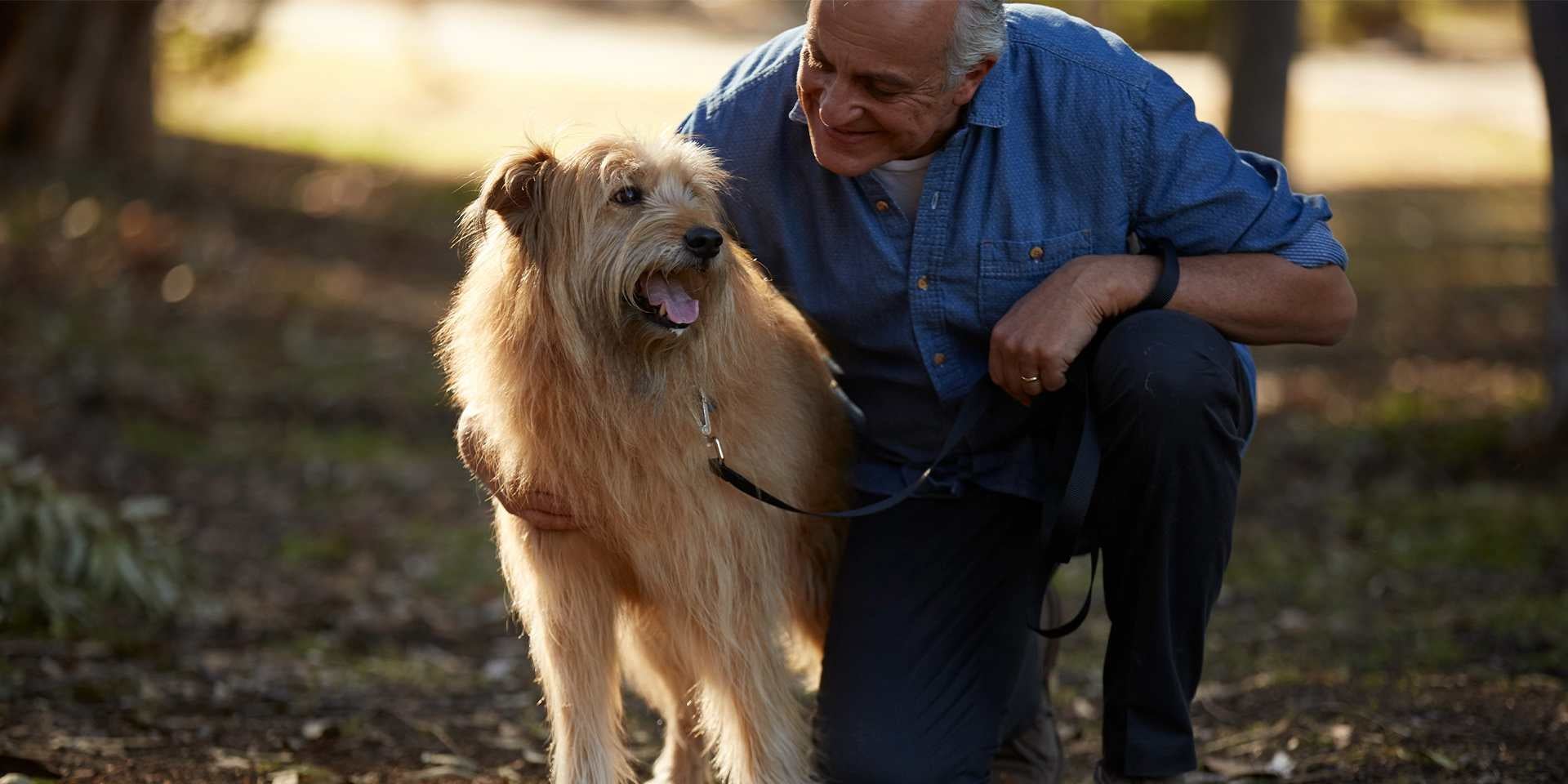 Perros en adopción - Tutor Los perros en adopción en etapa senior suelen ser muy agradecidos. Mascota junto a su tutor.
