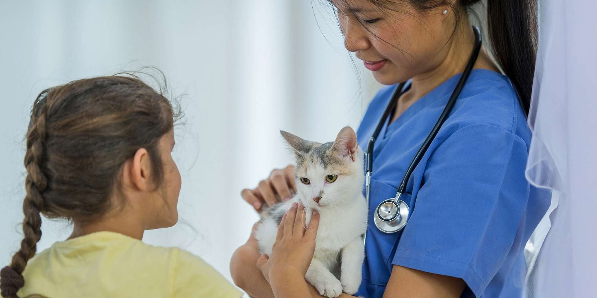 Veterinaria con michi en sus brazos. Esta profesional sabe con certeza cada cuánto se desparasita un gato. 
