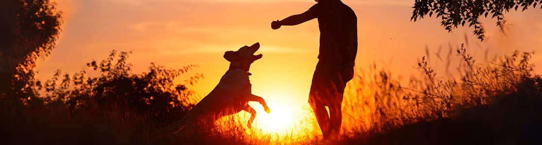 ¿Los perros van al cielo? Averígualo con PURINA®. Perro con su tutor con un ocaso de fondo.
