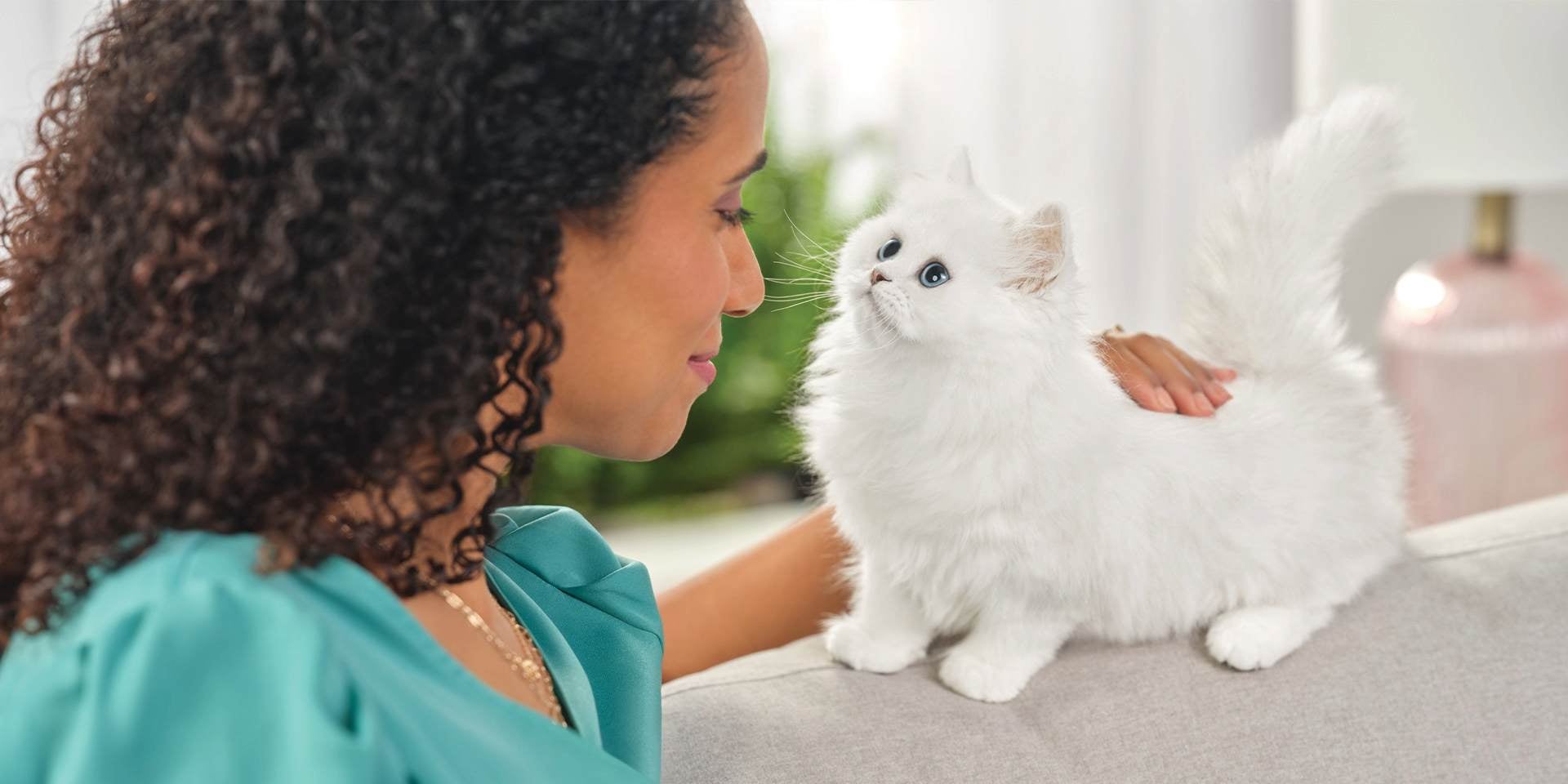 Nombres para gatos. Gato persa con su tutora.