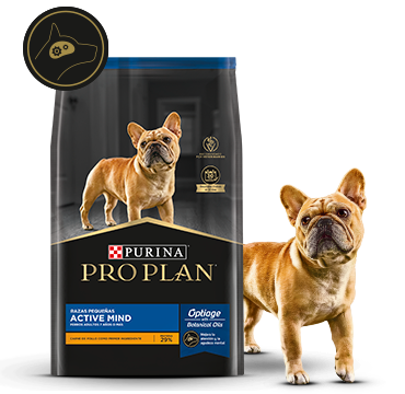 Alimento Pro Plan Active Mind con mascota en la card del alimento para perros senior