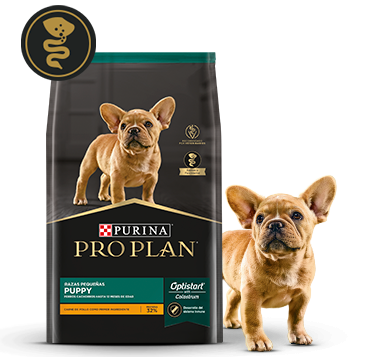 Alimento Pro Plan Puppy junto a cachorro en la card del producto