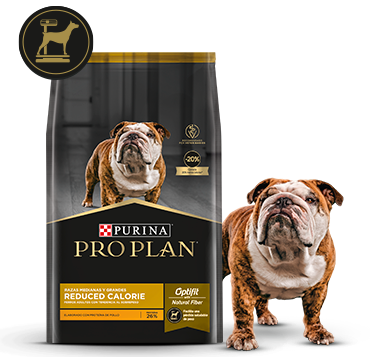 Alimento Pro Plan Reduced Calorie junto a perro en card de alimento bajo en calorías para perros