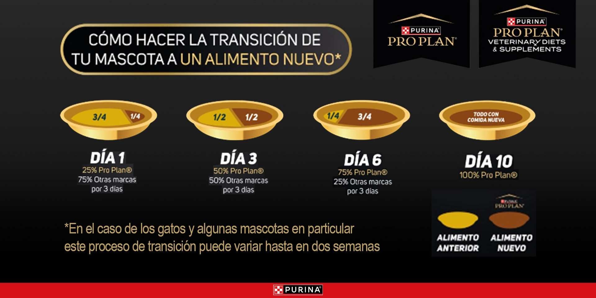 Infografía sobre el adecuado cambio de alimento en mascotas.