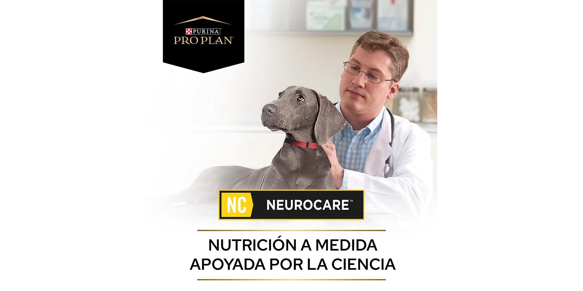 PRO PLAN® Neurocare es una alternativa nutricional adecuada para el perro senior. Banner PRO PLAN® Neurocare.