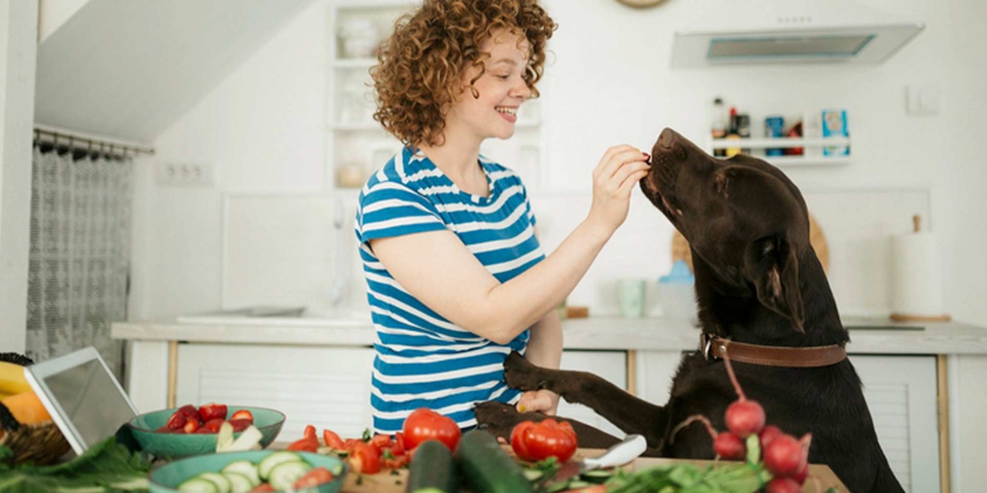 Comida casera para perros.