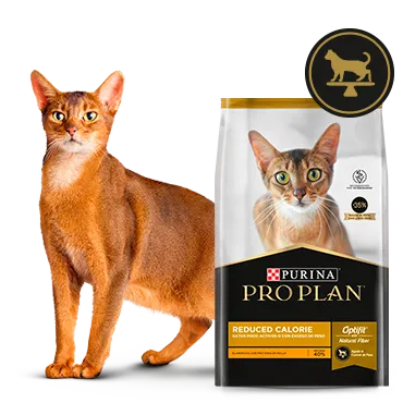 Purina%C2%AE-Proplan%C2%AE-Optifit.png.webp?itok=SyCsYLC3