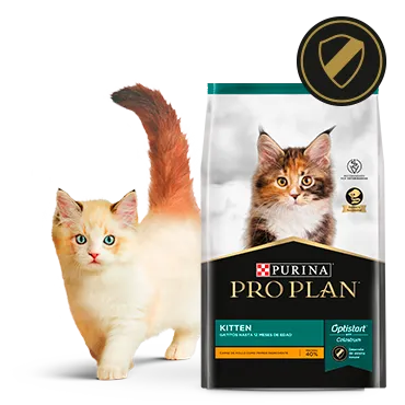 Purina%C2%AE-Proplan%C2%AE-Optistar.png.webp?itok=qwQP0ZbP