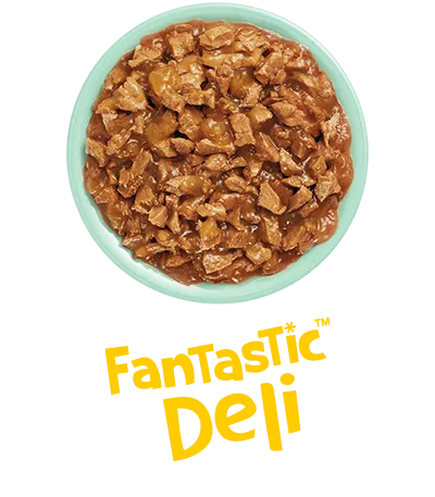 fantastic_deli_felix.png.webp?itok=ndbvqbPA