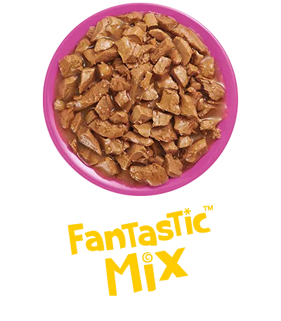 fantastic_mix_felix.png.webp?itok=1vdQbUPM