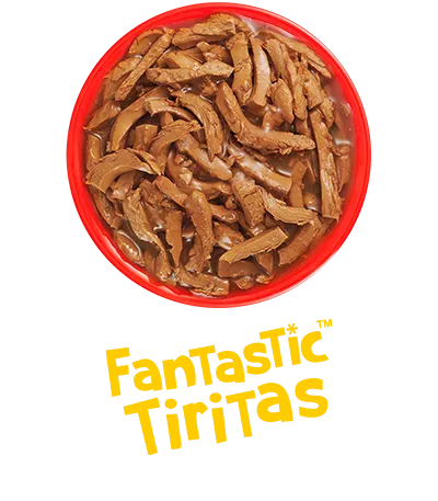 fantastic_tiritas_felix.png.webp?itok=G30NoQpr