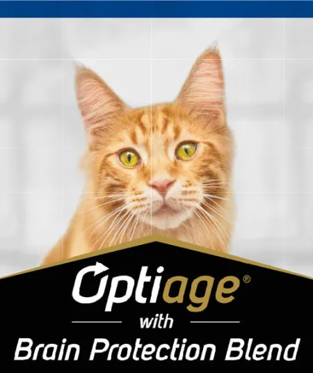 optiage_gato_pro_plan.jpg.webp?itok=W3QN9rNF