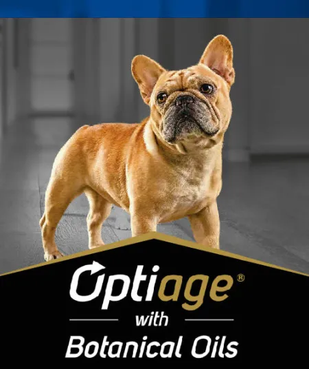 optiage_perros_pro_plan.jpg.webp?itok=SfnKk8CL