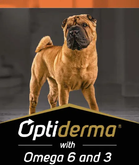 optiderma_perros_pro_plan.jpg.webp?itok=fVfIWhC0