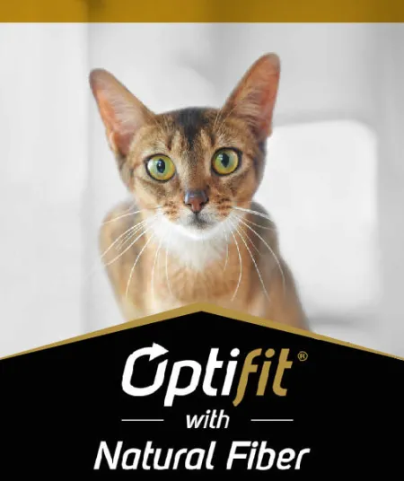 optifit_gato_pro_plan.jpg.webp?itok=mOoa_XXr