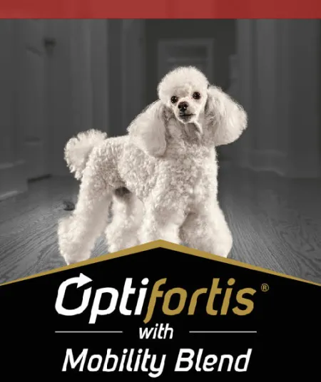 optifortis_perros_pro_plan.jpg.webp?itok=0Gw7JFEU