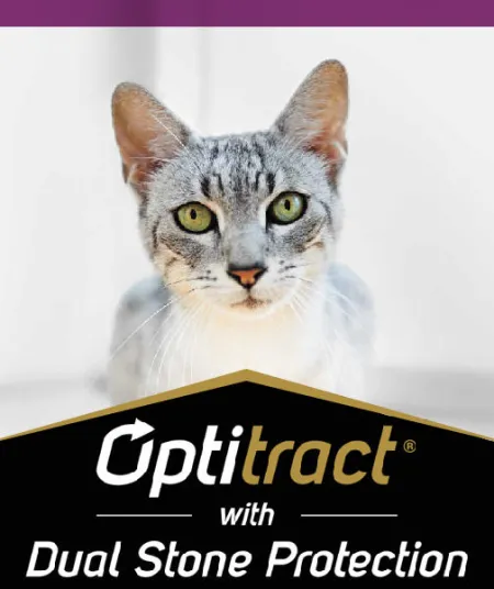 optitract_gato_pro_plan.jpg.webp?itok=gtwiy0-c