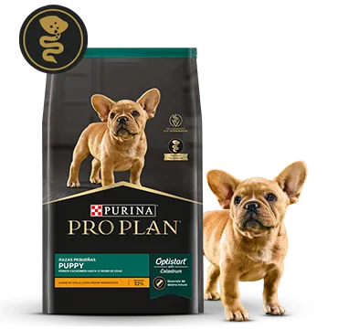 Purina pro plan bulldog hotsell