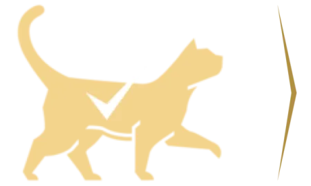 sencillo_y_seguro.png.webp?itok=903nqPym