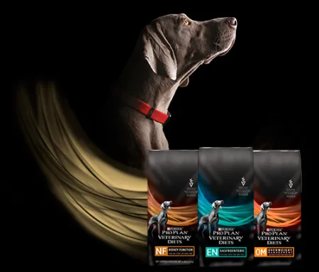 veterinary_diets_perro_pro_plan.png.webp?itok=wuIuCsz1