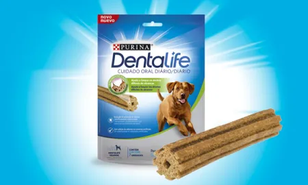 dentalife-perro-grande.png.webp?itok=jM81c9e-