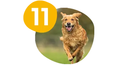 campeo%CC%81n-brinda-la-energi%CC%81a-adecuada.png.webp?itok=-p0Fa56M campeo%CC%81n-brinda-la-energi%CC%81a-adecuada.png.webp?itok=-p0Fa56M