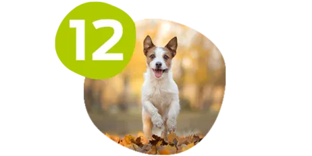 campeo%CC%81n-cerebro-saludable.png.webp?itok=uw7OR4Fk campeo%CC%81n-cerebro-saludable.png.webp?itok=uw7OR4Fk