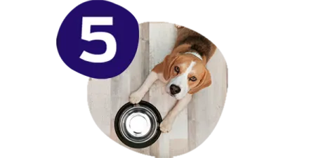 campeo%CC%81n-digestio%CC%81n-sana.png.webp?itok=-5idHwAS campeo%CC%81n-digestio%CC%81n-sana.png.webp?itok=-5idHwAS