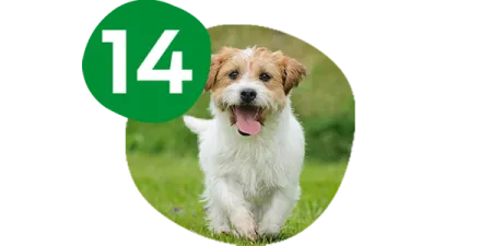 campeo%CC%81n-sistema-urinario-sano.png.webp?itok=7K7-0bxk campeo%CC%81n-sistema-urinario-sano.png.webp?itok=7K7-0bxk