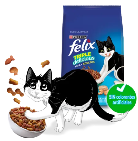 bodego%CC%81n-alimento-seco.png.webp?itok=M2LYpqFt bodego%CC%81n-alimento-seco.png.webp?itok=M2LYpqFt