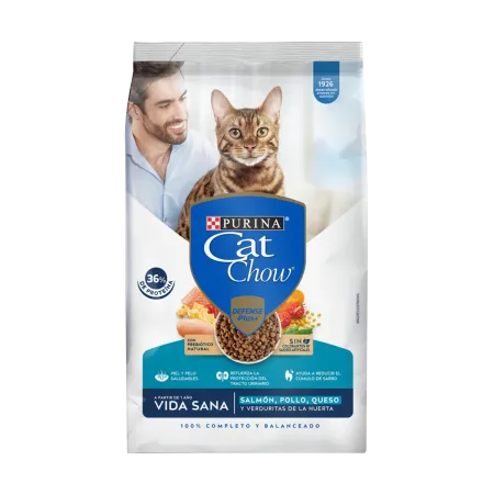 Purina-Cat-Chow-DRY-Vida-Sana-01.png.webp?itok=4Lb9b0vu