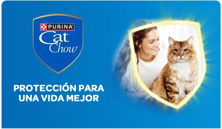 Cta-CatChow.png.webp?itok=a3RCrgMr