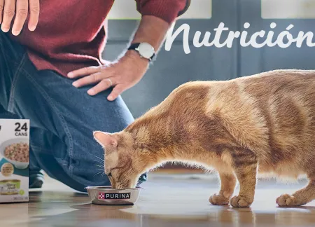 purina-img-cuidados-nutricion.jpg.webp?itok=k3ntVD1C purina-img-cuidados-nutricion.jpg.webp?itok=k3ntVD1C
