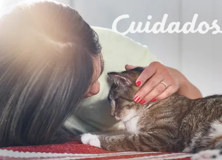 purina-img-cuidados.jpg.webp?itok=zjBot1Vi purina-img-cuidados.jpg.webp?itok=zjBot1Vi