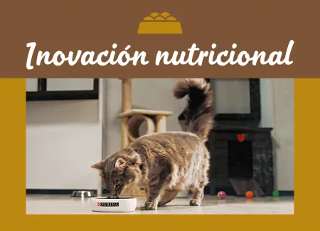 purina-img-nutrition.jpg.webp?itok=3c2XtjaU purina-img-nutrition.jpg.webp?itok=3c2XtjaU