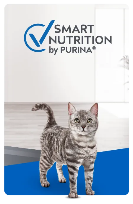 purina-excellent-cta-gato.png.webp?itok=LpMTsPNV